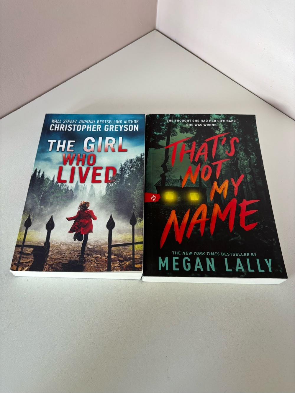 - Paperback Thriller Duo- Megan Lally- Lot of 2 Bestsellers